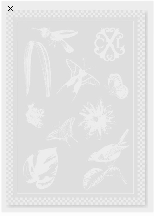 Kuchyňská utěrka bílá sada 2ks PRIMAVERA Christian Lacroix