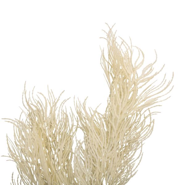 Umělá rostlina Asparagus Fern Stem bílá 87cm Present Time
