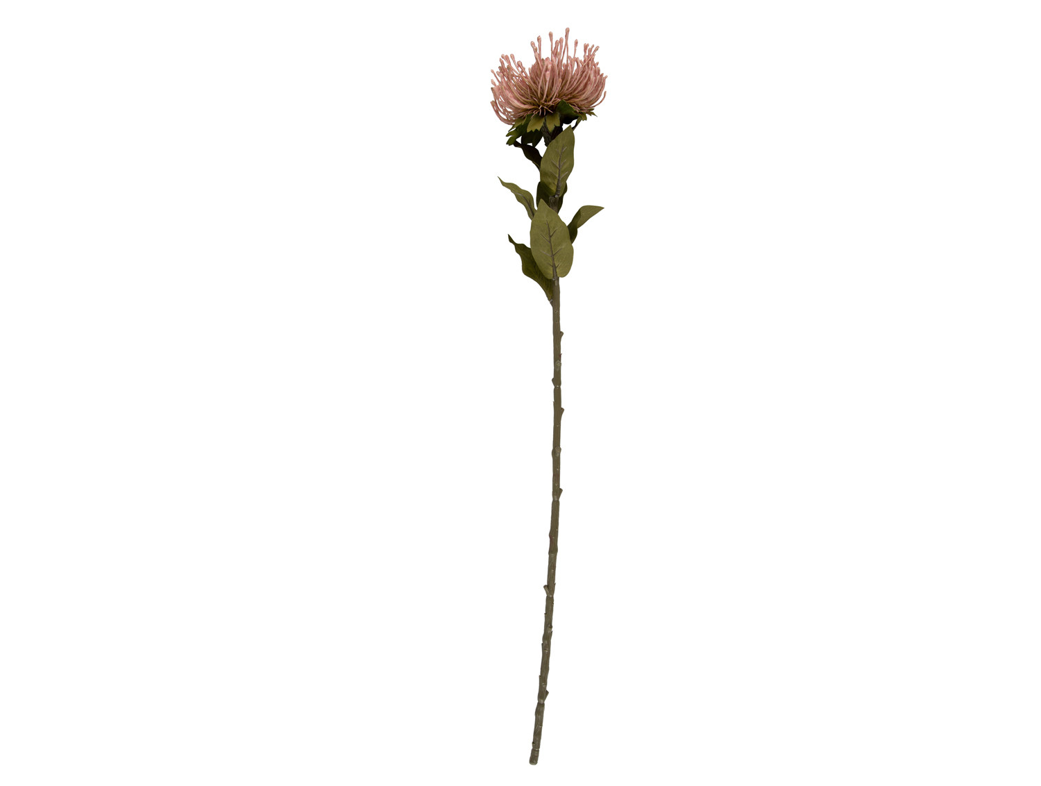 Umělá rostlina Protea květ velký 73cm růžový Present Time
