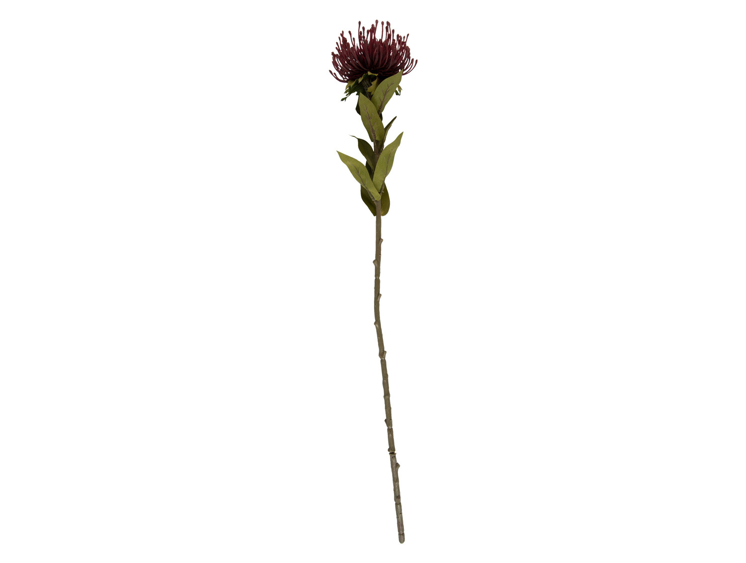 Umělá rostlina Protea květ velký 73cm červený Present Time