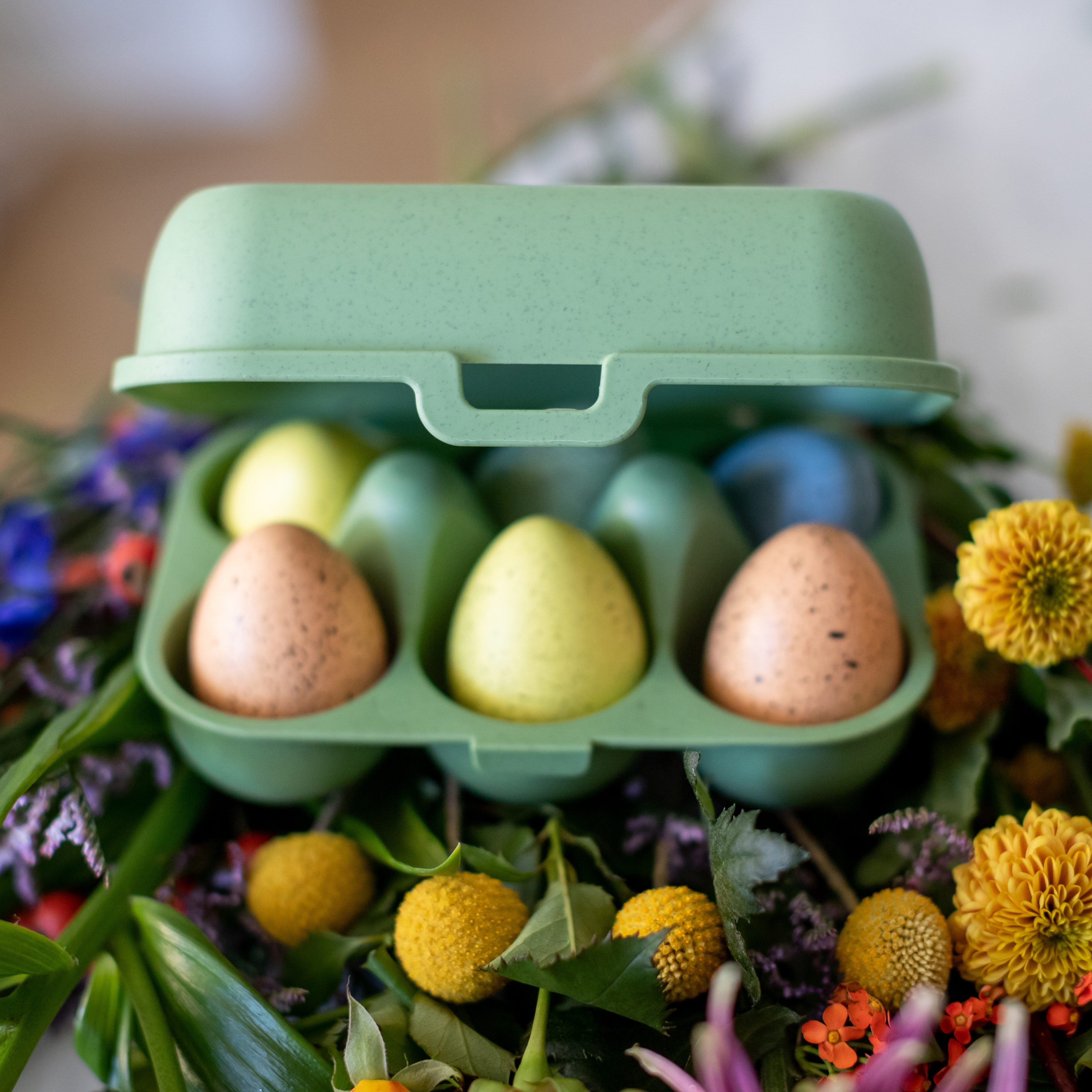 EGG box na 6 ks vajíček Zelená ORGANIC KOZIOL