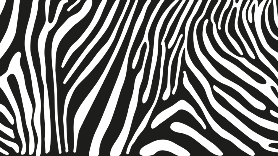 Polep na kolo 18x300cm Zebra REMEMBER