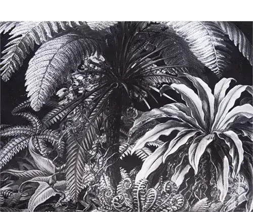 Polštář Jungle 40x60cm Present Time