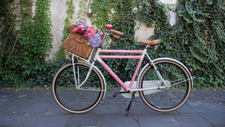 Polep na kolo 18x300cm Marie REMEMBER