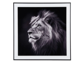 Fotoobraz Art Lion 50x50cm lev černý Present Time