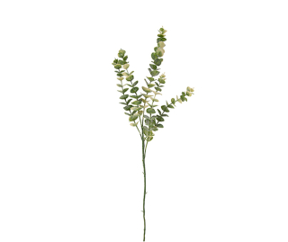 Umělá rostlina Eukalyptus Stem 82cm Present Time