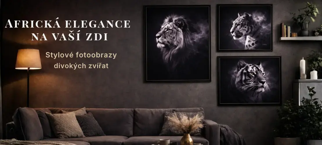 Elegance na vaší zdí až 50 %